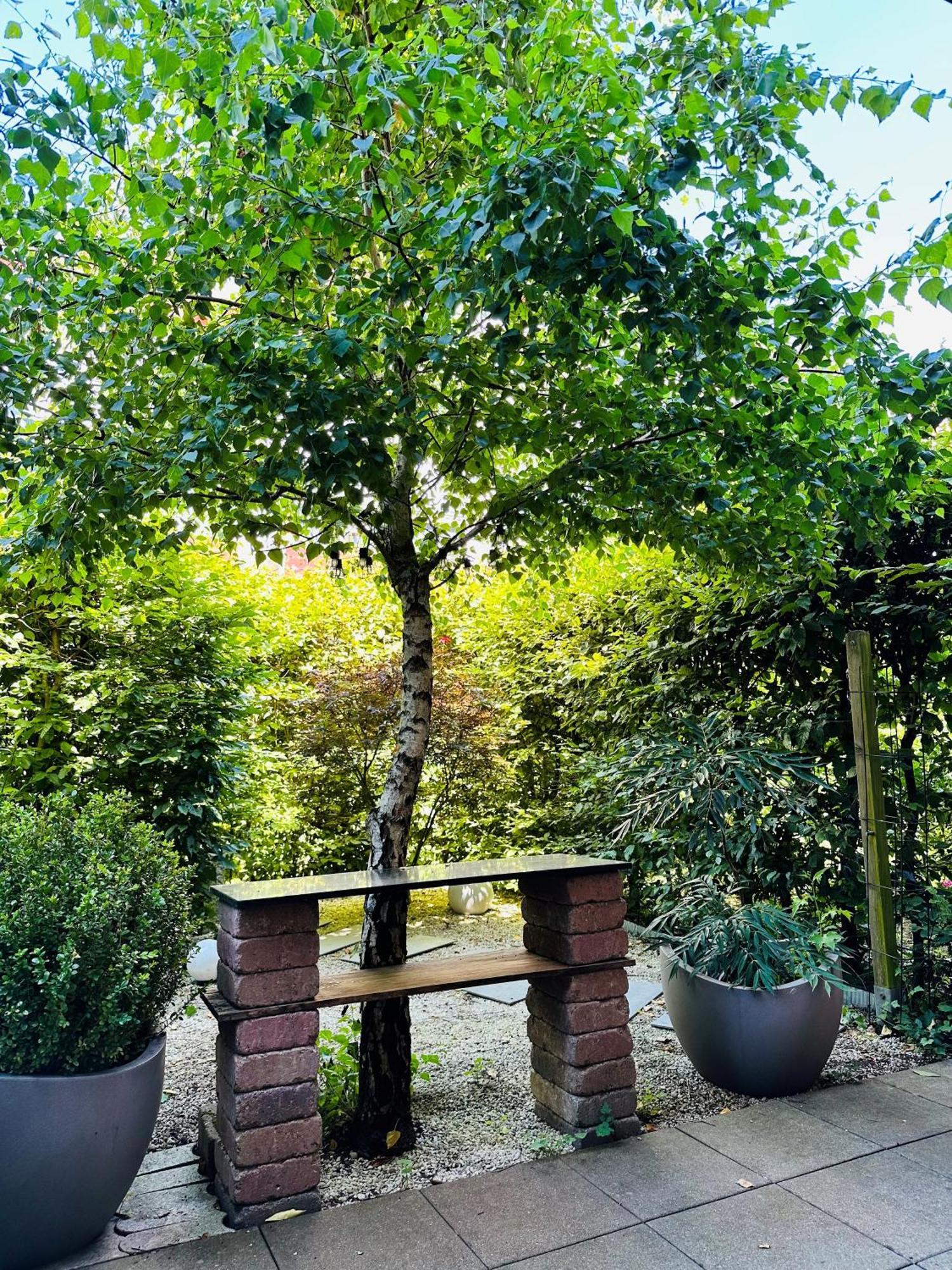 Fewo Bee61 * Langen Exklusiv Fuer 4 Personen *Vollausstattung Mit Kueche* Inklusive Terrasse Esterno foto