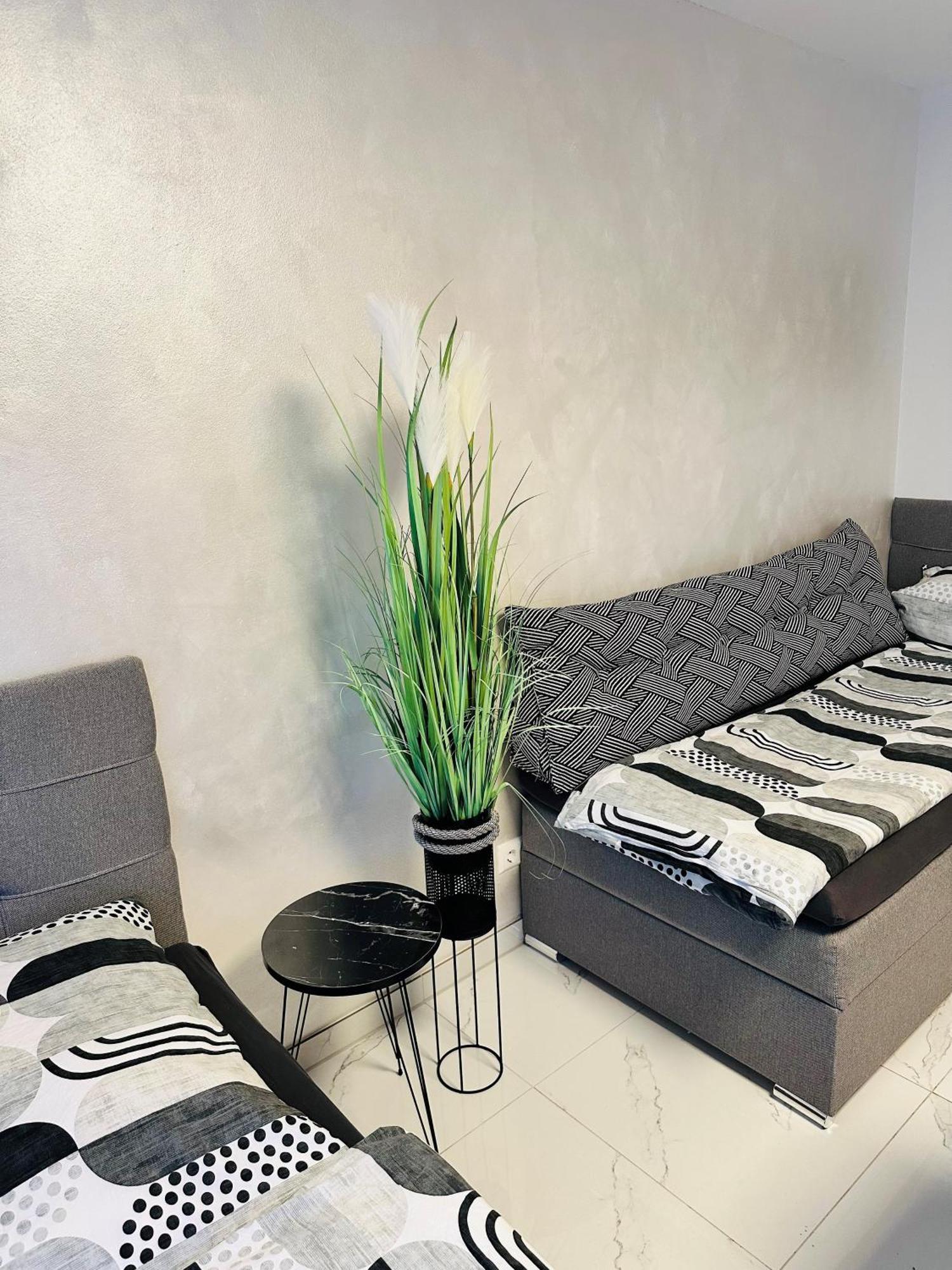 Fewo Bee61 * Langen Exklusiv Fuer 4 Personen *Vollausstattung Mit Kueche* Inklusive Terrasse Esterno foto